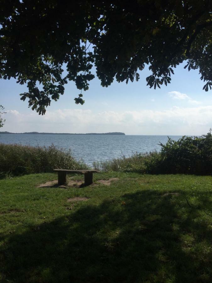 Seestern, Vilmblick *