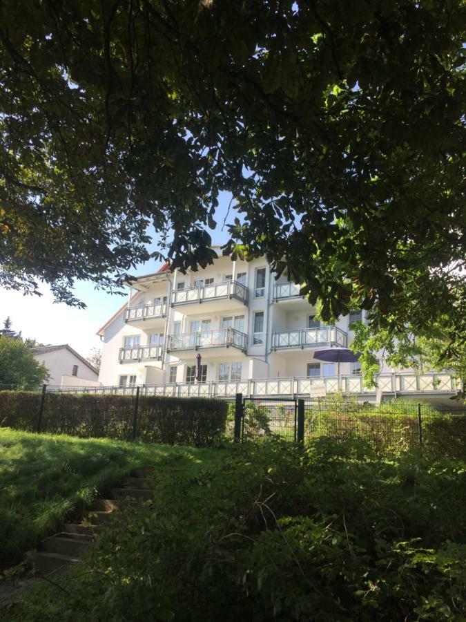 Seestern, Vilmblick *