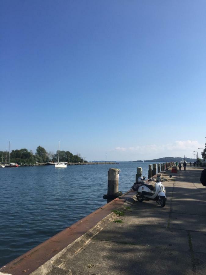 Seestern, Vilmblick