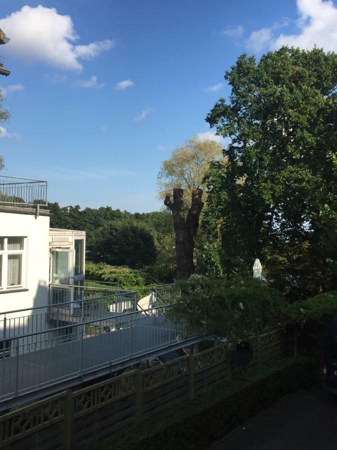 Seestern, Vilmblick Lauterbach (Rugen)