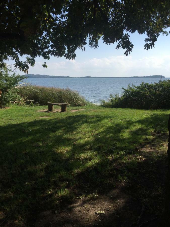 Seestern, Vilmblick *